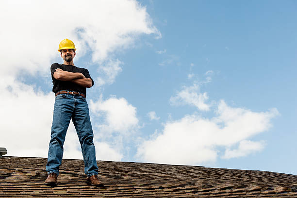 Best Roof Gutter Cleaning  in Cornelia, GA